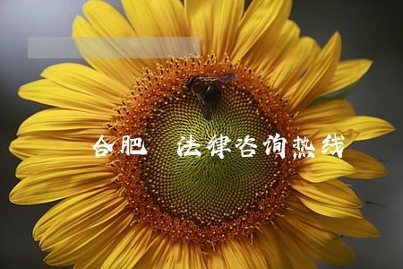 合肥 法律咨询热线 合肥 法律咨询热线